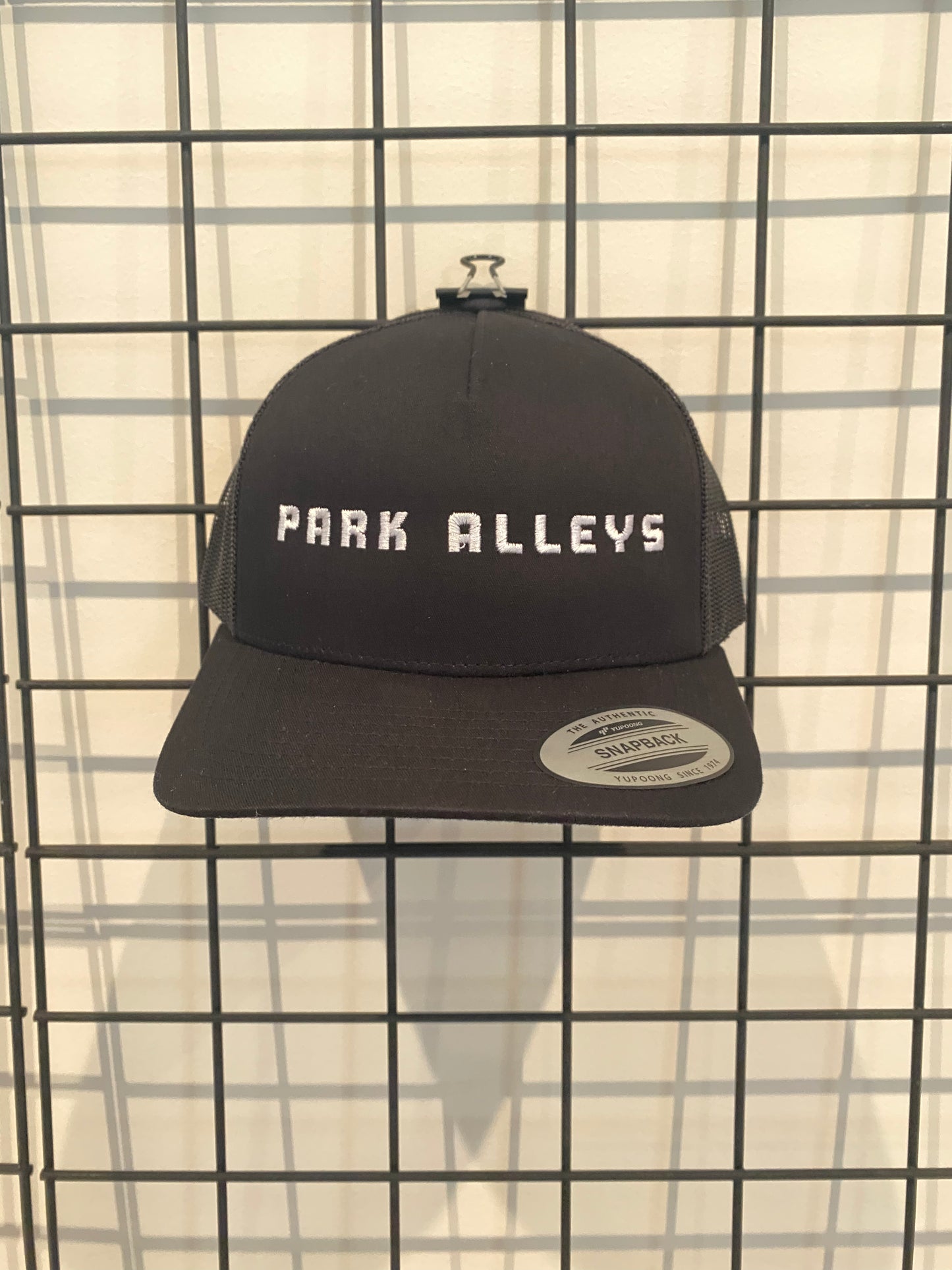 Park Alleys Mesh Back Hat
