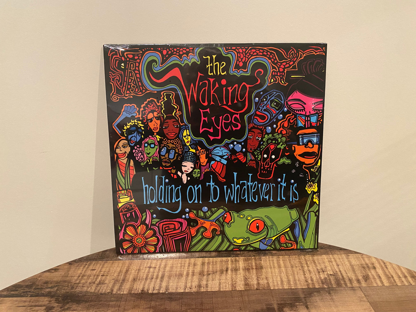The Waking Eyes - 'Holding On To Whatever It Is' LP